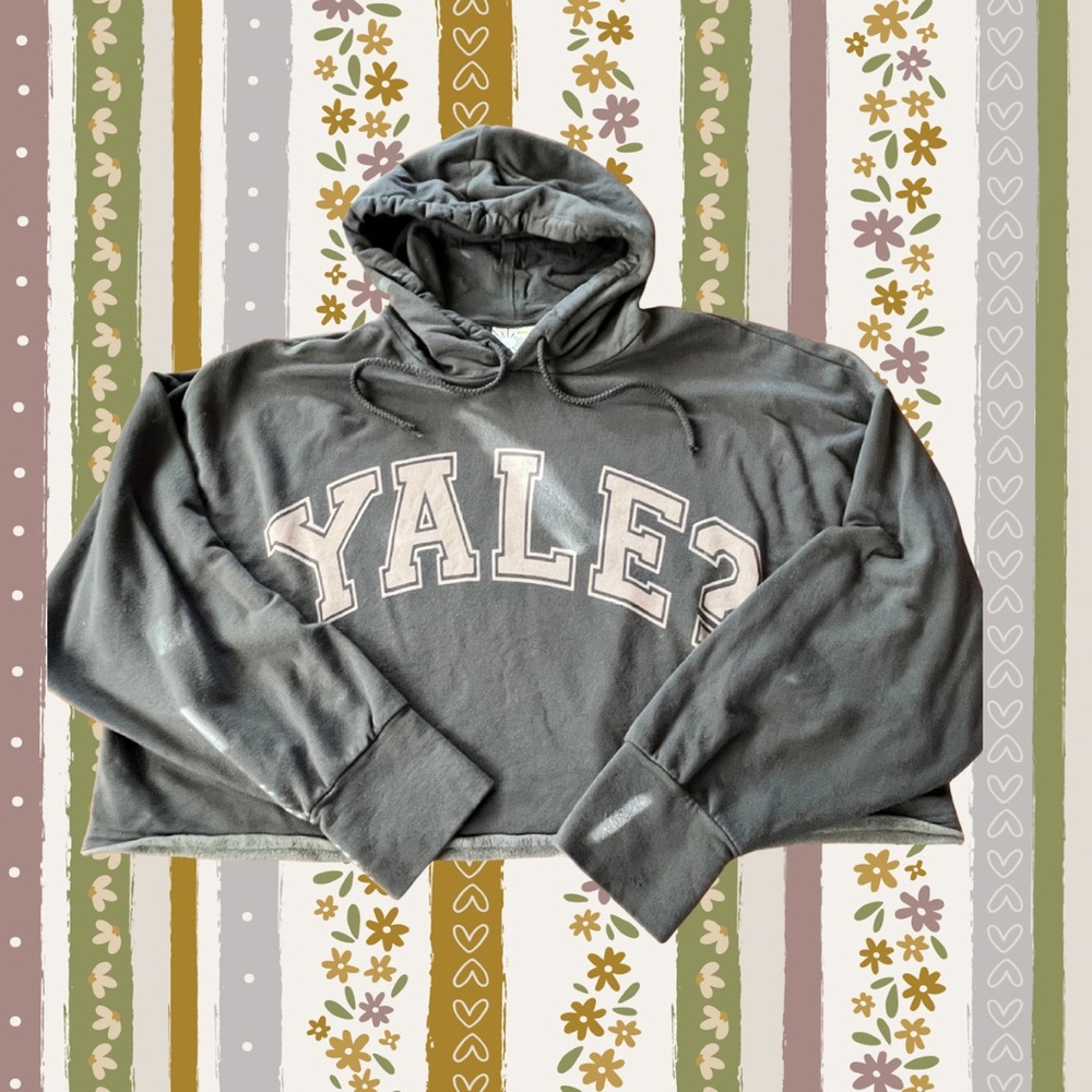 Aerie Gray Hoodie Sweater